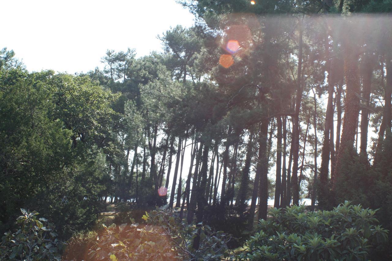 Guest House Sirius 皮聪达 外观 照片